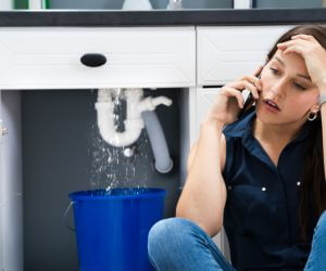 About Emergency plumbing pros Cosmopolis, WA